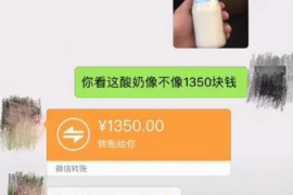 白山专业讨债公司，追讨消失的老赖